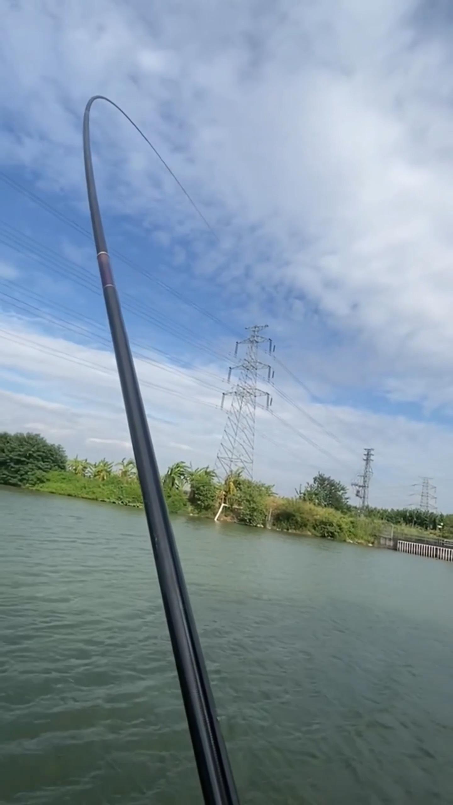 台钓竿有什么分类?